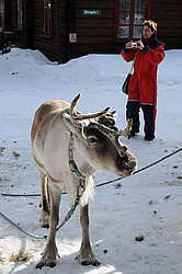  ����������� ��������. �������. 