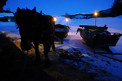  ����������� ��������. �������. 