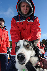  ����������� ��������. �������. ������� �� �������� ��������. 