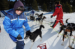  ����������� ��������. �������. ������� �� �������� ��������. 