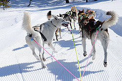  ����������� ��������. �������. ������� �� �������� ��������. 