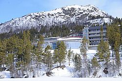  ����������� ��������. �������. 