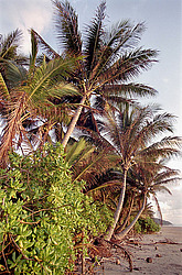 �����. ���� �� ������� ���� ������