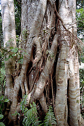 �����. ����� ������ ������