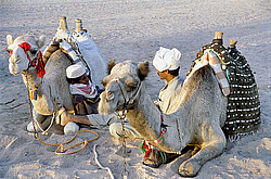 ������. ������� � ���������� ������� ��������