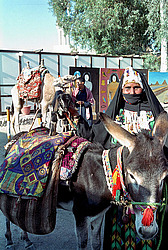  ������. �������-�������� � �������