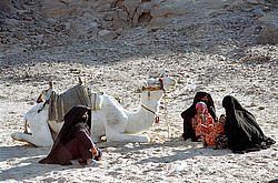  ������. �������-�������� � ���������