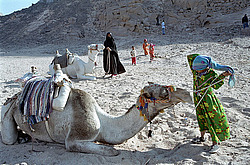 ������. �������