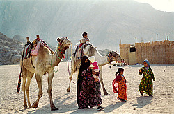  ������. ������� � ����������