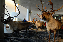  �������� ��������. ������ ������ � ��������� ������ � ������� ��������. 