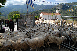 ����, ������