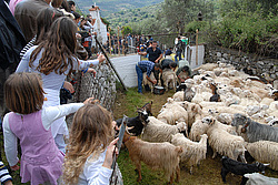 ����, ������