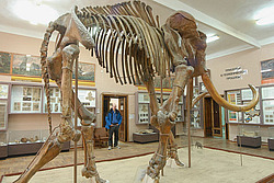 ������ ��������������� �������.�������� ����� �����������