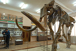 ������ ��������������� �������.�������� ����� �����������