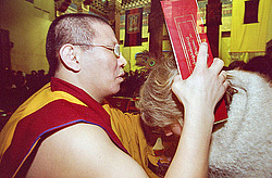 �����������