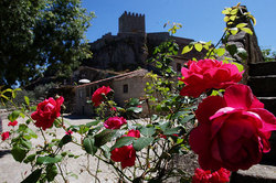 ����������