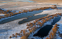 ��������������, ������ ��� �����-����������, ������ ����