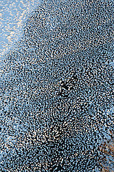 ��������������, ������ ��� �����-����������, ������ ����