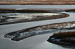 ��������������, ������ ��� �����-����������, ������ ����