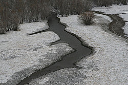 ��������������, ������ ��� �����-����������, ������ ����