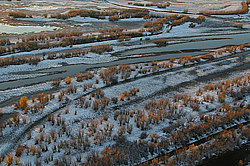 ��������������, ������ ��� �����-����������, ������ ����