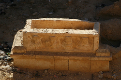 �����. ��������, ��������