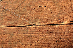 ����� ������, �������������������� ������� ����� ������