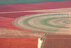 ��������������: ������� ����� ������