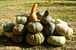 ����� ��������� �����, ����� �� �����. ����������, ���