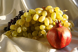 ��������� ������ � ����� (�������), ����������, ������� ����