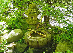 �������� �����, ��������, ���� ������, ���