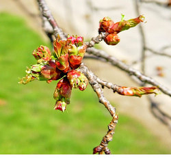 ������ ����� � ������������ ����, ������, ���-����, ���