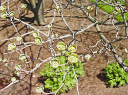 ������ ����� � ������������ ����, ������, ���-����, ���