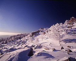 ������� ����, ����� ����, �������, ����� ���� ����, ������ ������, �������� ����