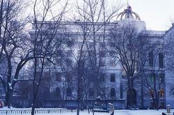 ������ ���������� ���� ������