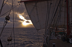 ������������ �������� ����� 