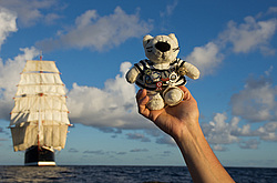 ������������ �������� �����  �����  2012-2013 ��.  �� ��������� <�������� ������ �������>