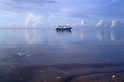 �������� ����� � ������ ����� ����-���, ����, ���������