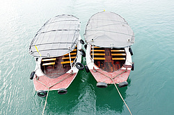 ���������� ����� � ����� ������, �������� �������