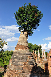 ������ ������, �����