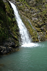 �������� ������, ����, ������