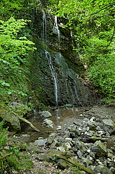 �������� ������, ����, ������