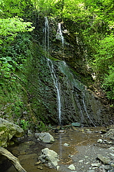 �������� ������, ����, ������