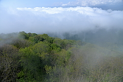 ���� ����, ����, ������