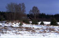 �������� ���� � ���� ����