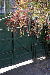 ������ ��������, ������