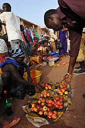 ����� �����, �������� ��������, ������-�����, ������ 2011