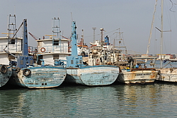 ������ ���� ������, �������, ������ 2011