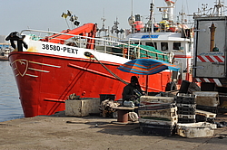 ������ ���� ������, �������, ������ 2011