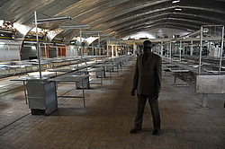 ������ ���� ������, �������, ������ 2011